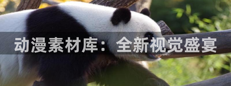 51动漫网：动漫素材库：全新视觉盛宴