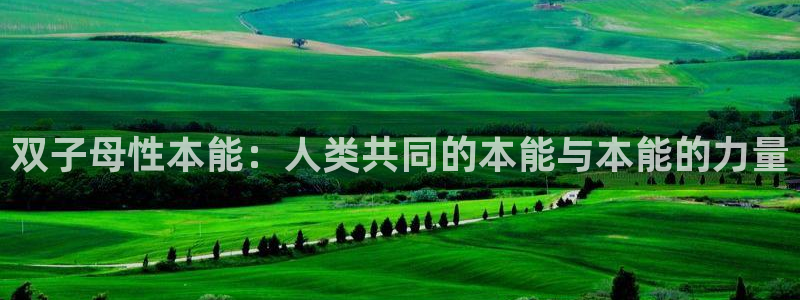 51动漫成人动漫：双子母性本能：人类共同的本能与本能的力量