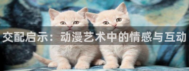 51动漫网站：交配启示：动漫艺术中的情感与互动