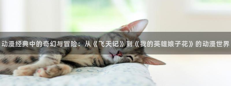 51动漫3d：动漫经典中的奇幻与冒险：从《飞天记》到《我的英雄娘子花》的动漫世界