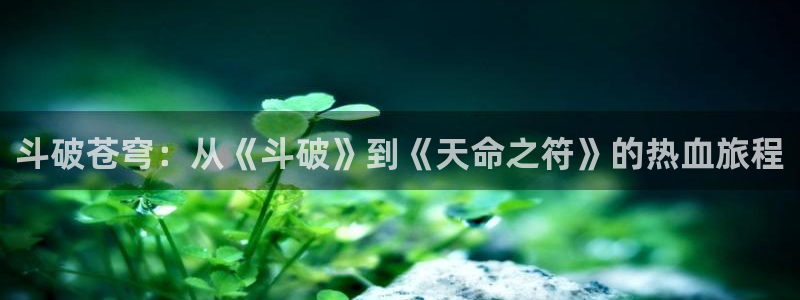 51动漫网免费版永久入口：斗破苍穹：从《斗破》到《天命之符》的热血旅程